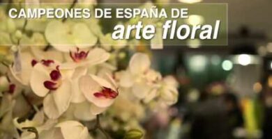 Las Camelias Floristería: ¡Expertos en Flores y Arreglos!