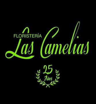 Floristería Las Camelias Alcorcón: Encuentra las mejores flores cerca de ti