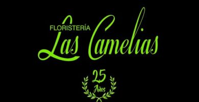 Floristería Las Camelias Alcorcón: Encuentra las mejores flores y arreglos